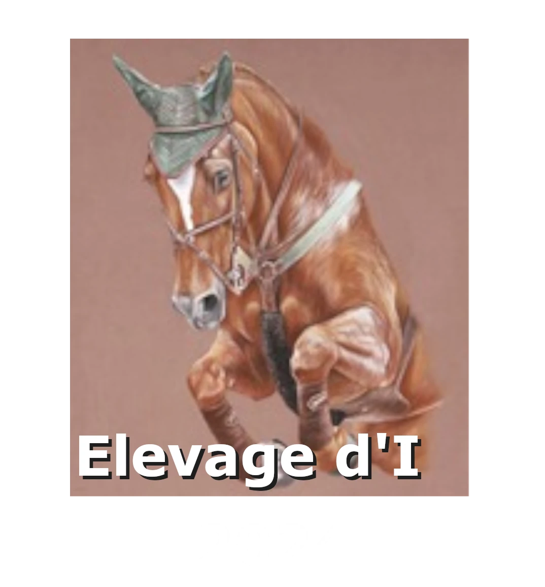 Logo Elevage d'I